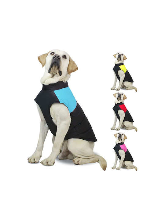 Animal Blue Dog Coat with 31cm Back Length