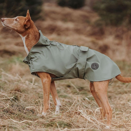 Hunter Кучешки палта Водоустойчиво Green