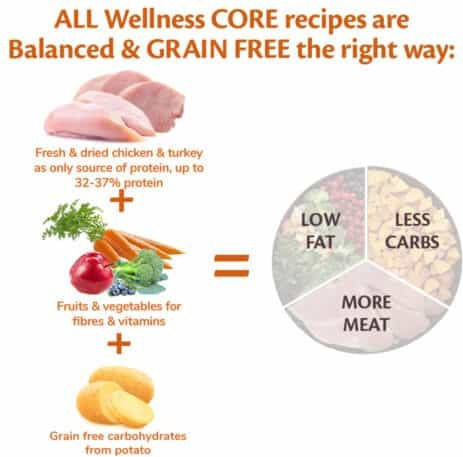 Wellness Core Grain Free Adult Ocean Salmon & Tuna 10kg Dry Food Grain-Free for Adult Dogs with Salmon and Tuna