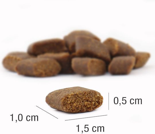 Platinum Pet Food & Care Dry Dog Food Adult 5kg Dry Food Gluten-Free for Adult Dogs with Lamb and Rice
