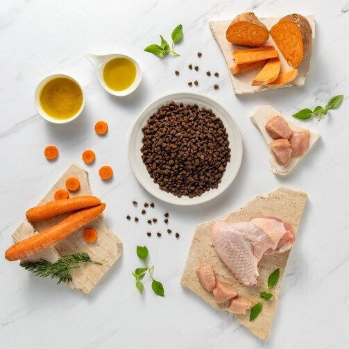 2kg Dry Food Grain-Free & Gluten-Free for Small Breed Puppies with Turkey