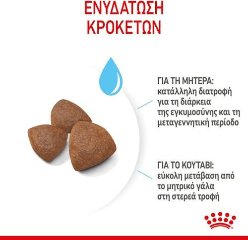 Royal Canin Starter Mother & Babydog Medium 4kg Dry Food for Medium Breed Puppies with Chicken and Rice