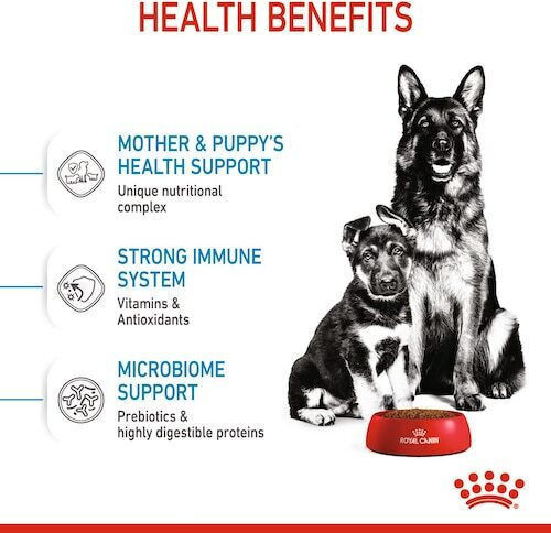 Royal Canin Starter Mother & Babydog Maxi 15kg Dry Food for Large Breed Puppies with Poultry and Rice