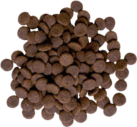 Bult 12kg Dry Food for Small Breed Dogs with Lamb