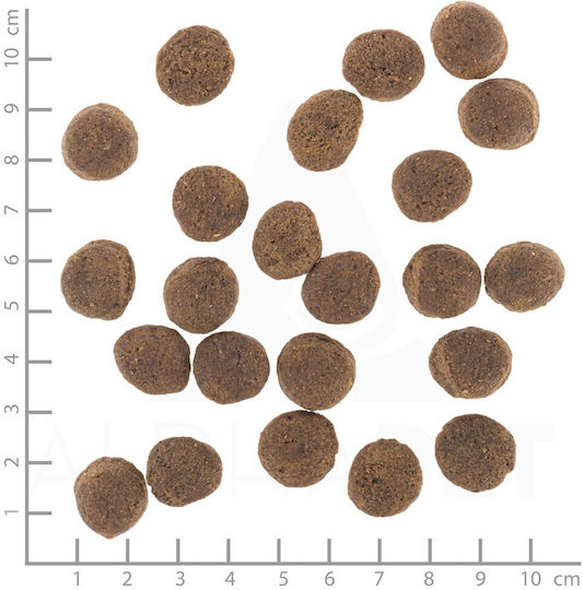 Wolfsblut 12kg Dry Food for Dogs Grain-Free with Duck