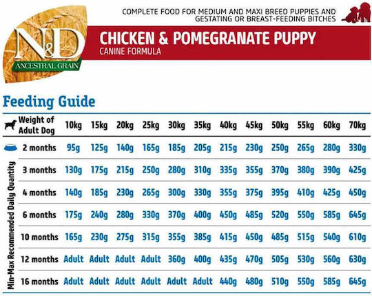 Farmina Ancestral Grain Chicken & Pomegranate Puppy 12kg Dry Food with Few Grains for Medium & Large Breed Puppies with Chicken and Pomegranate
