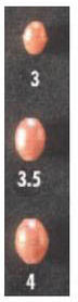 Hard Phosphorescent Beads Hayabusa P-420 Ideal For Tenya & Tai Rubber #3.5
