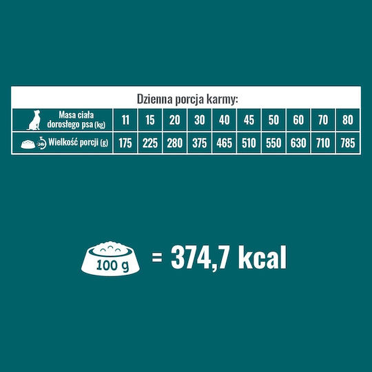 Dog Food 10kg Dry Food for Adult Dogs with Beef and Vegetables
