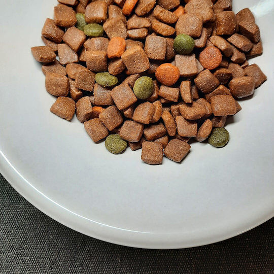Dog Food 10kg Dry Food for Adult Dogs with Beef and Vegetables