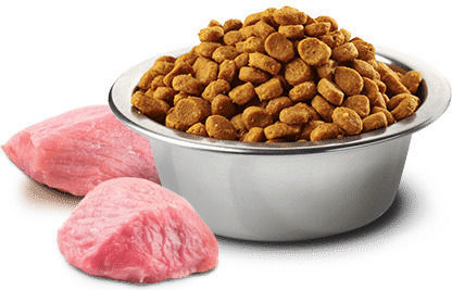 Farmina N&D Pumpkin Mini 2.5kg Dry Food Grain-Free for Adult Small Breed Dogs with Pork and Pumpkin