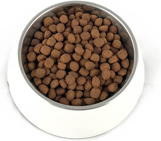 Dog Food 12kg Dry Food for Medium & Large Breed Dogs with Turkey and Rice