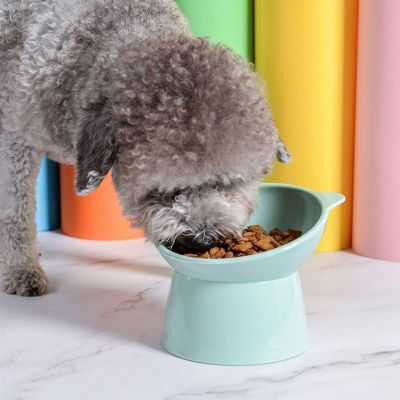 Kunststoff Schalen Futter für Hund & Katze 300ml in Hellblau Farbe