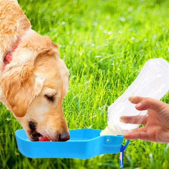 Kunststoff Flasche Futter & Wasser für Hund & Katze in Blau Farbe