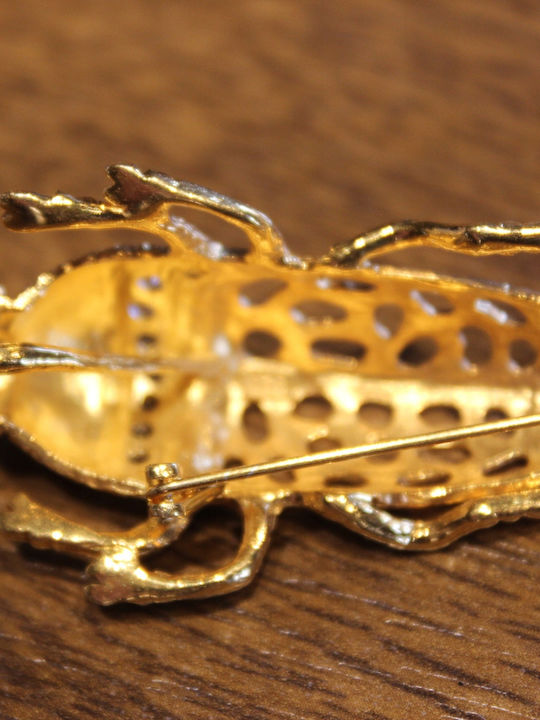 Silver Brooch Zircon Beetle 925