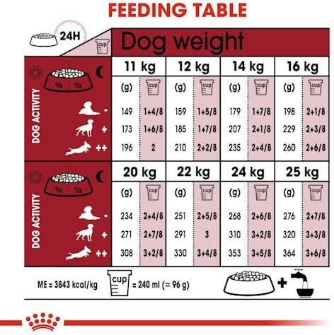 Royal Canin Medium Adult 3kg Trockenfutter für erwachsene Hunde mittlerer Rassen mit Geflügel, Fleisch und Schweinefleisch