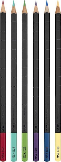 Moleskine Box Large Set of 6 Notebooks with White Pages with Hard Cover