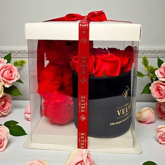 Pachet Special De Valentine Tommy Bear Aranjament 20 Cm 7 Trandafiri Săpun În Cutie Elegantă