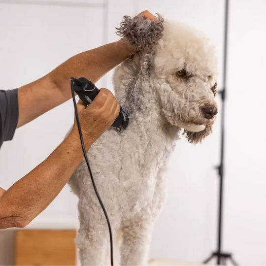 Pet Επαγγελματική Κουρευτική Μηχανή Σκύλων Ρεύματος