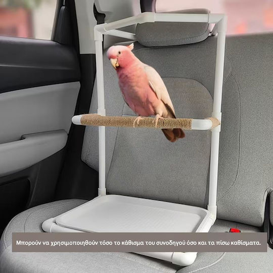 Car Seat Birds Kingdom-auto Stand Walk Parrot