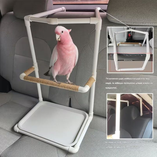 Car Seat Birds Kingdom-auto Stand Walk Parrot