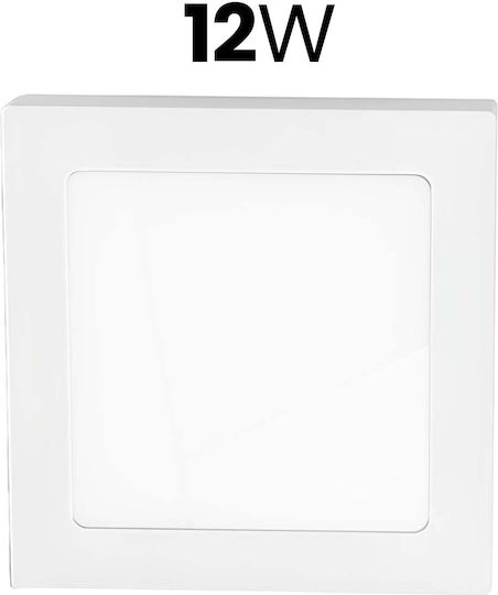 Avizar Square Led Panel 12w 167x167mm Surface Mount Elegant Design White