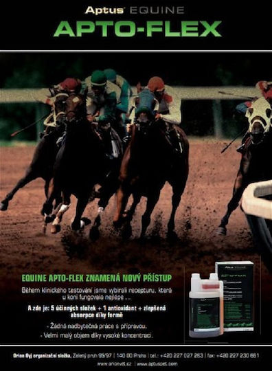 Aptus Dog Multivitamins Syrup 1000ml for Joints