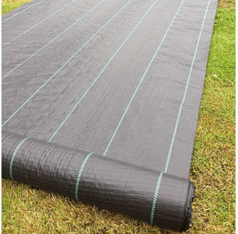 Ground Cover Fabric 0.93x50m Black