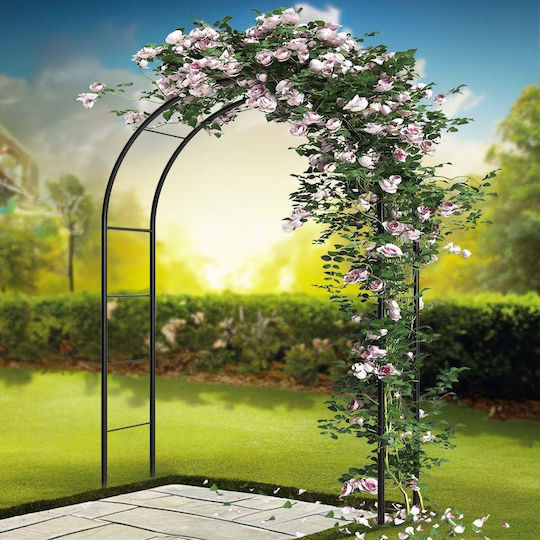 Metal Garden Arch in Bronze Colour 145x38x235cm