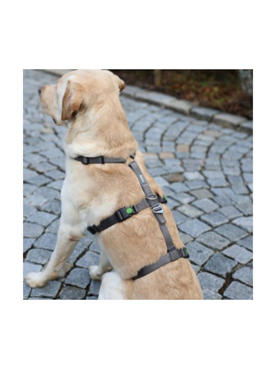 Kerbl Hundegeschirr Ausbildung Panic Harness Miami Grau 20mm x 48-70cm 080042