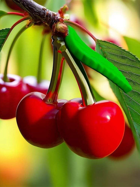 Metalmorphose Mtm406-01 Keychain Keyholder Foodie Nature Collection Cherry Heart