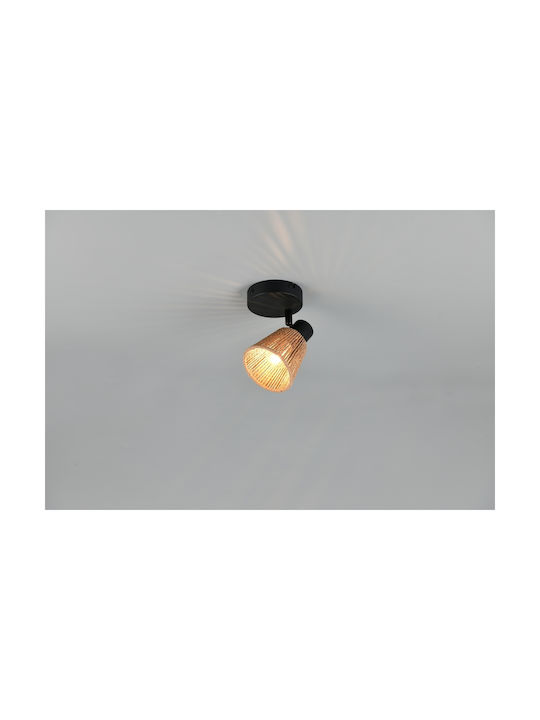 Trio Lighting Decken- und Wandleuchte in Beige Farbe