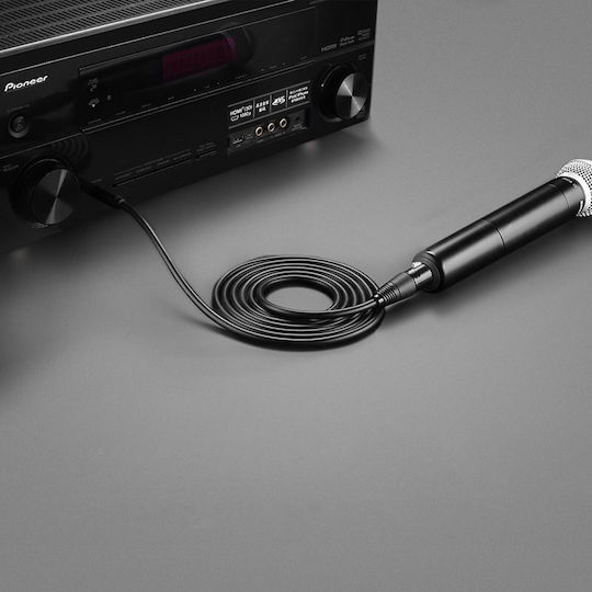 Ugreen Av131 XLR male to 6.3mm male 3m Cable (20720)