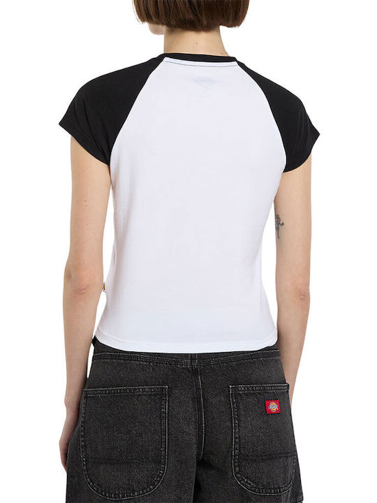 Dickies Dickies