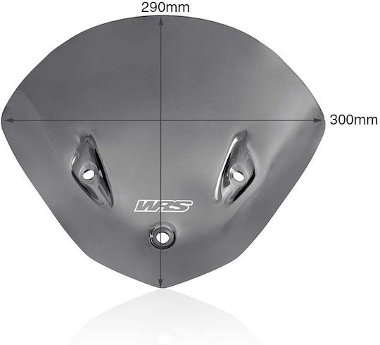 WRS Getöntes Visier Motorrad für BMW S1000RR BM068FS