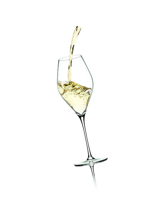 Rockwell Razors Pahar pentru Vin Alb din Sticlă 430ml