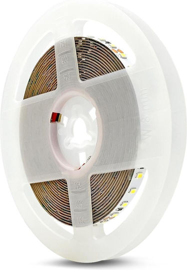 Geyer LED Лента 24V Студено Бяла Светлина 5m