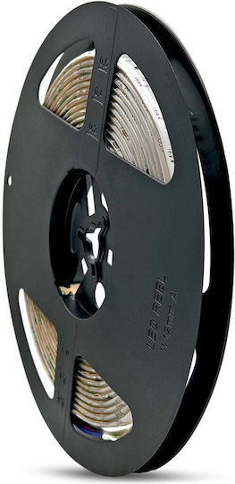 Geyer Wasserdicht LED-Streifen 24V RGB Licht 5m