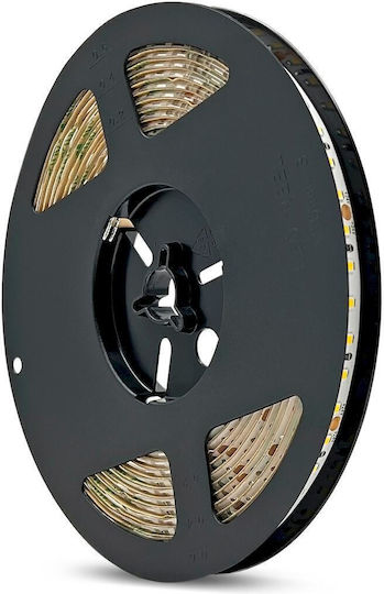 Geyer Wasserdicht LED-Streifen 24V Natürliches Weiß Licht 5m