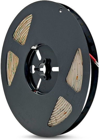 Geyer Αδιάβροχη Ταινία LED 24V 5m