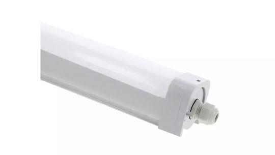 Kanlux Lineare Leuchte LED TP Strong LED 48W-NW 6500lm 4000K IP65 33170