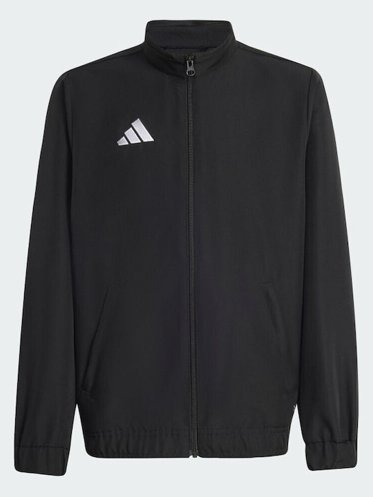 adidas adidas