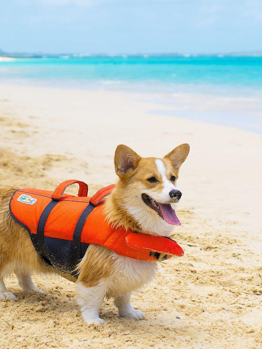 Vestă De Salvare Pentru Câini Xl Outward Hound Granby Splash Greutate Minimă 38 Kg Portocalie Accente Reflectorizante Curele Reglabile Bandă Abdominală Mâner De Salvare
