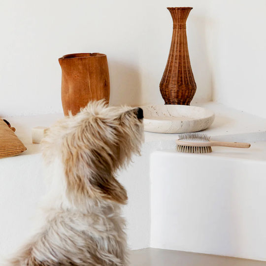 Andrée Jardin Double Sided Dog Brush for Coat Care