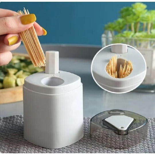 Alista Home Toothpicks Case Plastic 9.5x6cm Grey