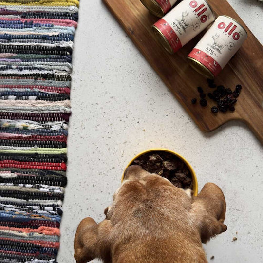 Dog Food Υγρή Τροφή Σκύλων με Χοιρινό χωρίς Σιτηρά 850gr