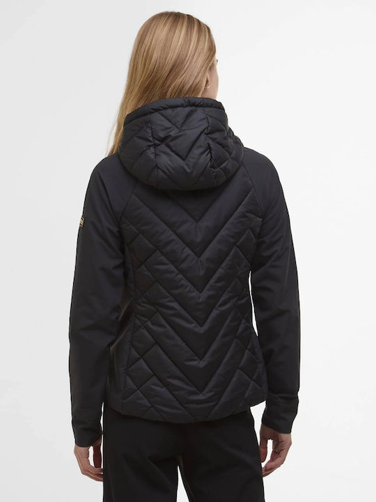 Barbour Barbour
