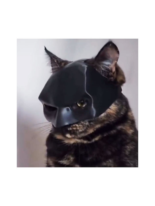 Batman Mask for Cats Dim.11.2x8.2x5.5cm/Head Circumference:25cm
