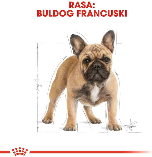Royal Canin French Bulldog Adult 9kg Hrană Uscată pentru Câini Adulţi de Rase Mici cu Păsări de curte