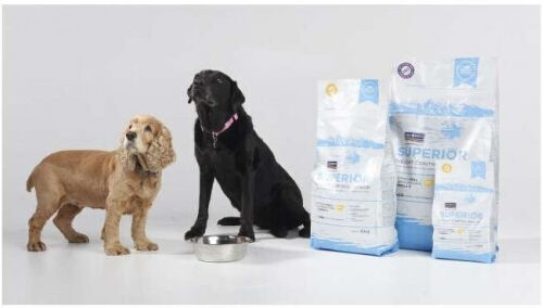 Fish4Dogs 12kg Dry Food Gluten-Free for Senior Neutered Dogs with Salmon