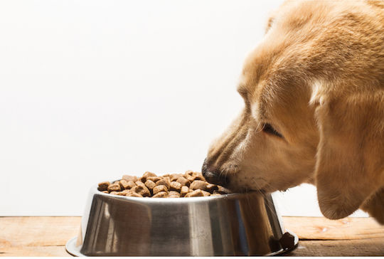 M.B.F. LOVIT 2.5kg Dry Food for Adult Small & Medium Breed Dogs with Calf